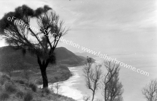 S.COAST WITH SEVERAL TREES STANWELL PARK